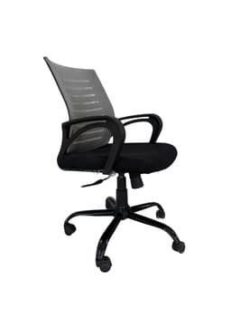 Ergonomic Mesh Office Chair image